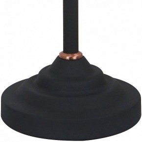 Настольная лампа офисная Arte Lamp Braccio A2054LT-1BK в Троицке - troick.mebel24.online | фото 4