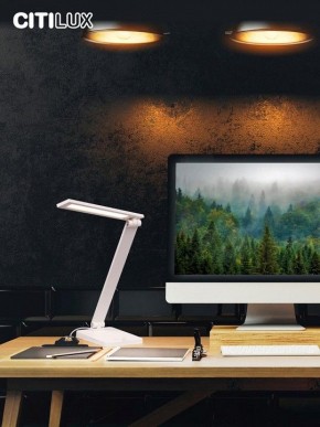 Настольная лампа офисная Citilux Ньютон CL803080 в Троицке - troick.mebel24.online | фото 10