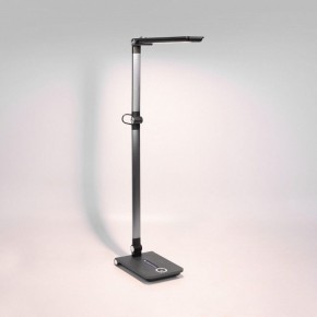 Настольная лампа офисная Elektrostandard Great a065290 в Троицке - troick.mebel24.online | фото 3