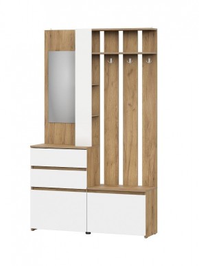 НЕКСТ 1 Вешалка с зеркалом + Шкаф 2-х ств. с ящиками в Троицке - troick.mebel24.online | фото 4