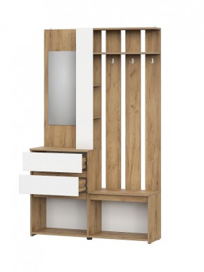 НЕКСТ 1 Вешалка с зеркалом + Шкаф 2-х ств. с ящиками в Троицке - troick.mebel24.online | фото 5