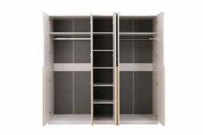 НИКОЛЬ 25 Шкаф 5-ти створчатый в Троицке - troick.mebel24.online | фото 3