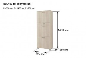 ШО-53 В тумба для обуви в Троицке - troick.mebel24.online | фото 8