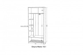 ОЛЬГА-МИЛК 10.1 Шкаф-купе без зеркала в Троицке - troick.mebel24.online | фото 2