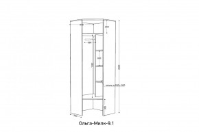 ОЛЬГА-МИЛК 9.1 Шкаф угловой без зеркала в Троицке - troick.mebel24.online | фото 2