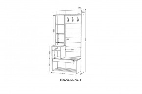 ОЛЬГА-МИЛК Прихожая (модульная) в Троицке - troick.mebel24.online | фото 2