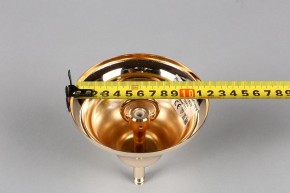Подвесная люстра Aployt Daniele APL.701.03.12 в Троицке - troick.mebel24.online | фото 6