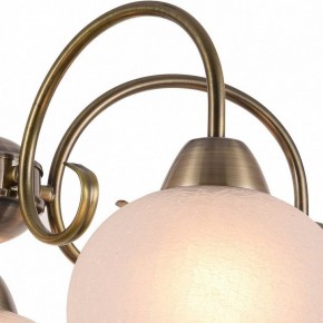 Подвесная люстра Arte Lamp Margo A9317LM-5AB в Троицке - troick.mebel24.online | фото 3