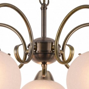 Подвесная люстра Arte Lamp Margo A9317LM-5AB в Троицке - troick.mebel24.online | фото 4