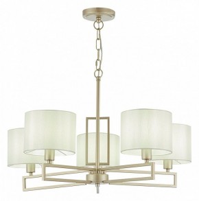 Подвесная люстра EVOLUCE Danae SLE105803-05 в Троицке - troick.mebel24.online | фото 2