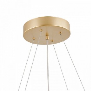 Подвесная люстра Favourite Asterismo 4448-8P в Троицке - troick.mebel24.online | фото 8