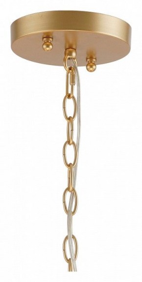Подвесная люстра Favourite Mateo 2634-8P в Троицке - troick.mebel24.online | фото 12