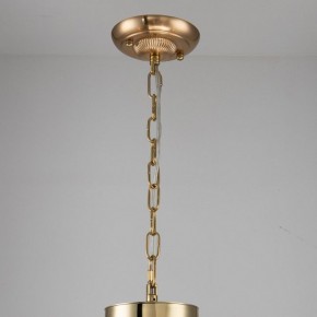 Подвесная люстра Favourite Rocca 2689-6P в Троицке - troick.mebel24.online | фото 4