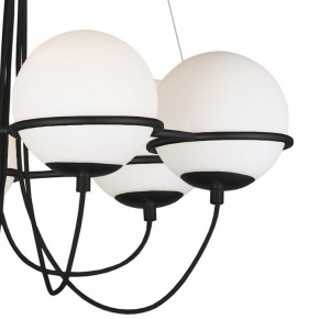 Подвесная люстра Lightstar Globo 803267 в Троицке - troick.mebel24.online | фото 5