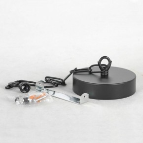 Подвесная люстра Lussole Fishers LSP-8800 в Троицке - troick.mebel24.online | фото 7