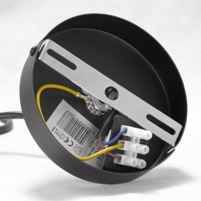 Подвесная люстра Lussole Kenner GRLSP-8271 в Троицке - troick.mebel24.online | фото 7