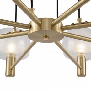 Подвесная люстра Maytoni Vision MOD411PL-08G в Троицке - troick.mebel24.online | фото 9