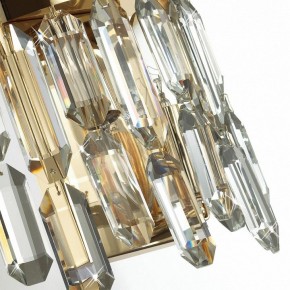 Подвесная люстра Odeon Light Dakisa 4986/12 в Троицке - troick.mebel24.online | фото 8
