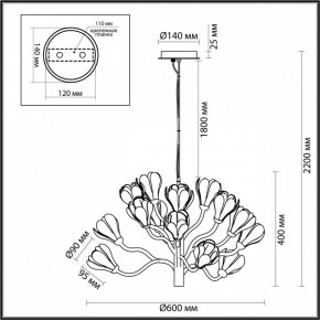 Подвесная люстра Odeon Light Gardi 5090/15 в Троицке - troick.mebel24.online | фото 6