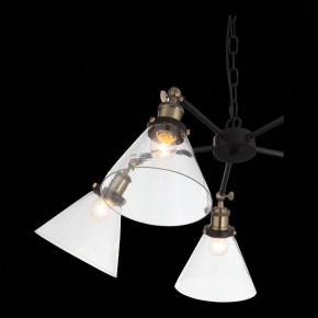 Подвесная люстра ST-Luce Evoluto SL237.413.05 в Троицке - troick.mebel24.online | фото 7