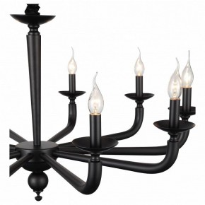 Подвесная люстра ST-Luce SL1114 SL1114.403.10 в Троицке - troick.mebel24.online | фото 4
