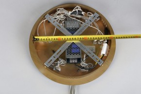 Подвесной светильник Aployt Monisia APL.020.03.243 в Троицке - troick.mebel24.online | фото 10