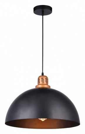 Подвесной светильник Arte Lamp Eurica A4249SP-1BK в Троицке - troick.mebel24.online | фото 2