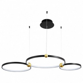 Подвесной светильник Divinare Amadeo 1123/04 SP-75 в Троицке - troick.mebel24.online | фото