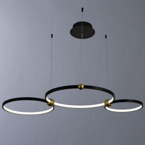 Подвесной светильник Divinare Amadeo 1123/04 SP-75 в Троицке - troick.mebel24.online | фото 2