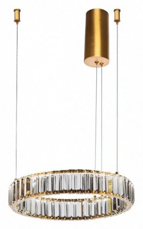 Подвесной светильник Divinare Renata 1135/17 SP-25 в Троицке - troick.mebel24.online | фото 2