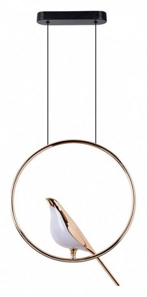 Подвесной светильник Divinare Summer 1188/01 SP-9 в Троицке - troick.mebel24.online | фото 2