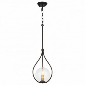 Подвесной светильник Favourite Kessel 1905-1P в Троицке - troick.mebel24.online | фото 2