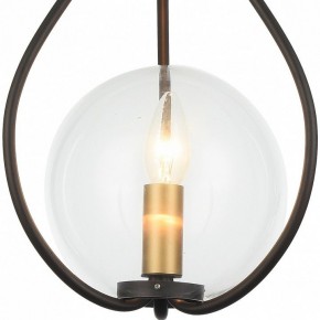 Подвесной светильник Favourite Kessel 1905-1P в Троицке - troick.mebel24.online | фото 3