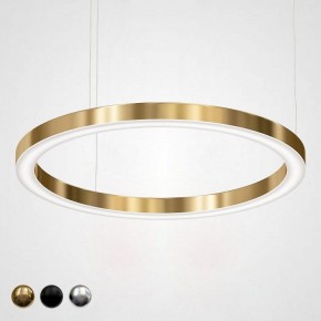 Подвесной светильник Imperiumloft Light Ring Horizontal 40.1454-100 в Троицке - troick.mebel24.online | фото