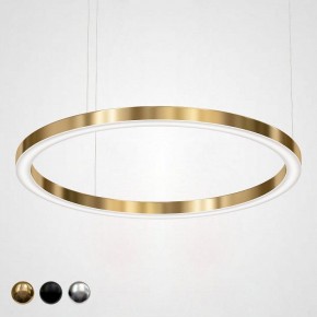 Подвесной светильник Imperiumloft Light Ring Horizontal 40.1454-120 в Троицке - troick.mebel24.online | фото