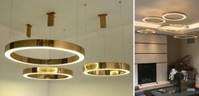Подвесной светильник Imperiumloft Light Ring Horizontal 40.1454-120 в Троицке - troick.mebel24.online | фото 2