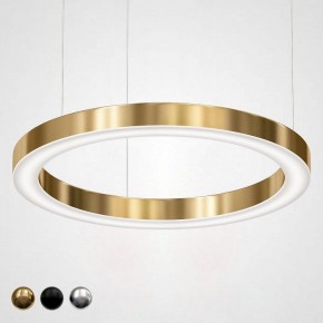 Подвесной светильник Imperiumloft Light Ring Horizontal 40.1454-80 в Троицке - troick.mebel24.online | фото