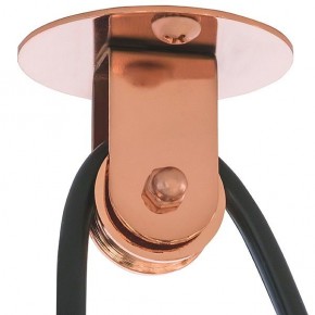 Подвесной светильник Lightstar Acrobata 761073 в Троицке - troick.mebel24.online | фото 5