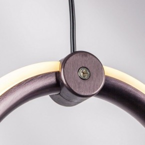 Подвесной светильник Lightstar Caramello 796289 в Троицке - troick.mebel24.online | фото 10