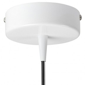 Подвесной светильник Lightstar Conicita 804110 в Троицке - troick.mebel24.online | фото 6