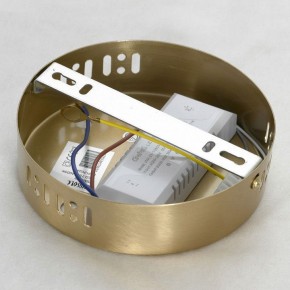 Подвесной светильник Lussole Centennial LSP-7024 в Троицке - troick.mebel24.online | фото 6