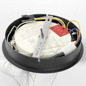 Подвесной светильник Lussole Hale LSP-7380 в Троицке - troick.mebel24.online | фото 6