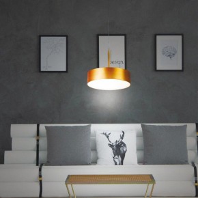 Подвесной светильник Novotech Prometa 358766 в Троицке - troick.mebel24.online | фото 4
