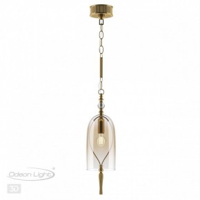Подвесной светильник Odeon Light Bell 4892/1 в Троицке - troick.mebel24.online | фото 5