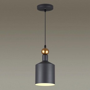 Подвесной светильник Odeon Light Bolli 4085/1 в Троицке - troick.mebel24.online | фото 3