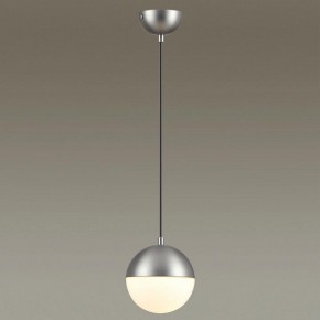 Подвесной светильник Odeon Light Pinga 4959/1 в Троицке - troick.mebel24.online | фото 2