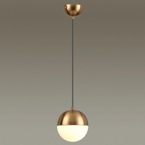 Подвесной светильник Odeon Light Pinga 4960/1 в Троицке - troick.mebel24.online | фото 2