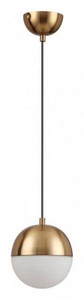 Подвесной светильник Odeon Light Pinga 4960/1 в Троицке - troick.mebel24.online | фото 3