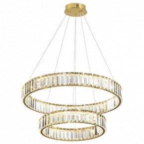 Подвесной светильник Odeon Light Vekia 5015/60L в Троицке - troick.mebel24.online | фото 2