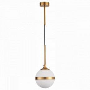 Подвесной светильник ST-Luce Arbe SL1157.303.01 в Троицке - troick.mebel24.online | фото 2